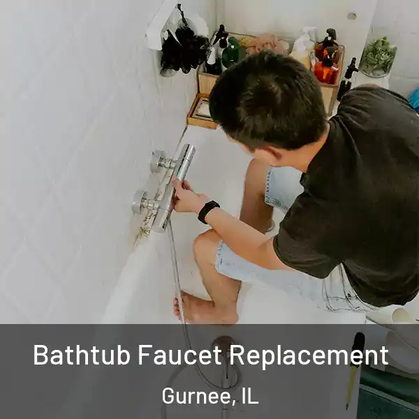  Bathtub Faucet Replacement Gurnee, IL