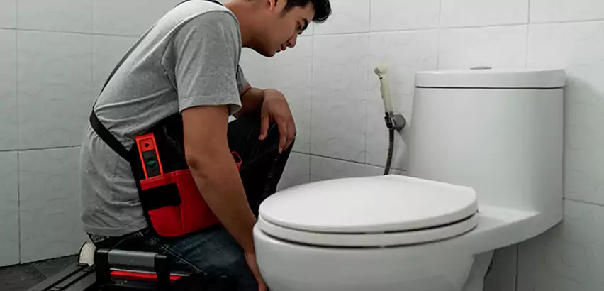 Toilet Repair in Gurnee