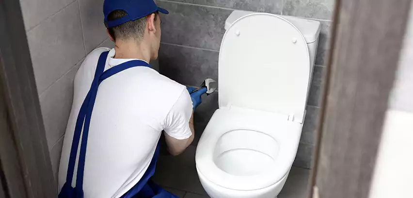 Toilet Lid Replacement in Gurnee