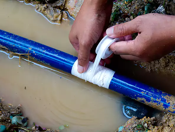  Why Choose Gurnee Plumbing Pro for Leak Detection in Gurnee, IL?]