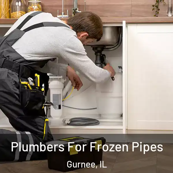  Plumbers For Frozen Pipes Gurnee, IL