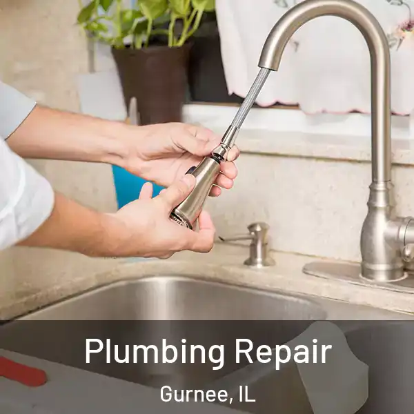  Plumbing Repair Gurnee, IL