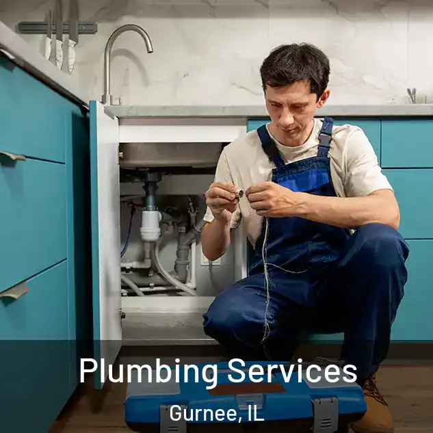 Plumbing Services Gurnee, IL