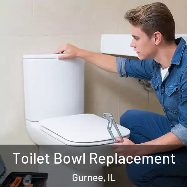  Toilet Bowl Replacement Gurnee, IL