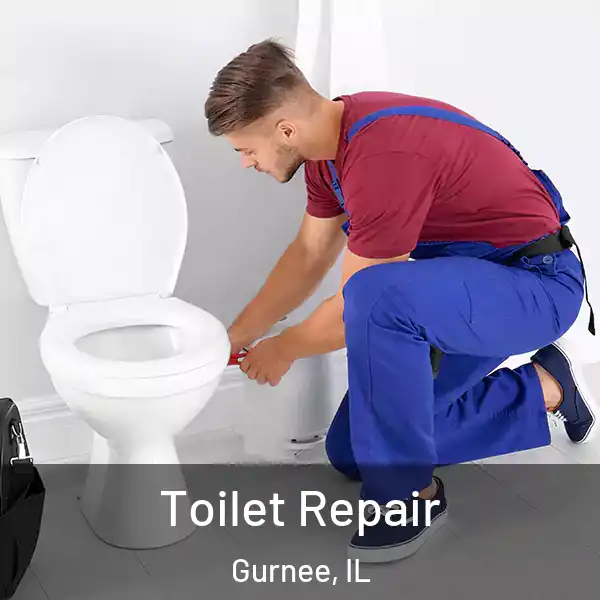  Toilet Repair Gurnee, IL
