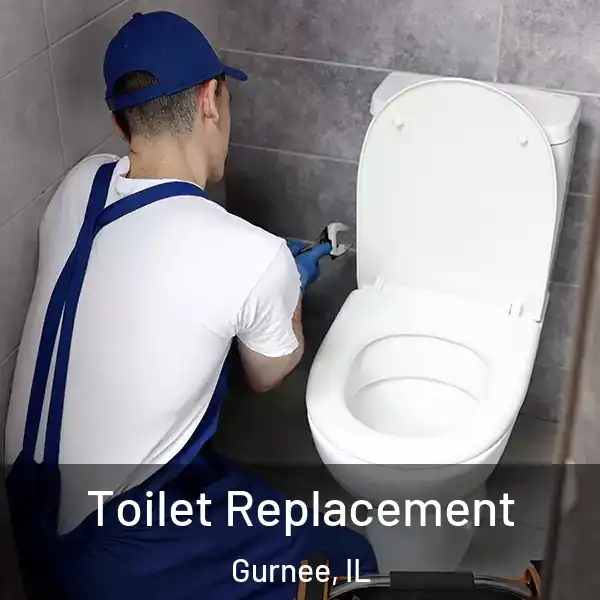 Toilet Replacement Gurnee, IL